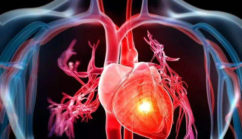 PNAS found that placental stem cells can regenerate the heart after a heart attack